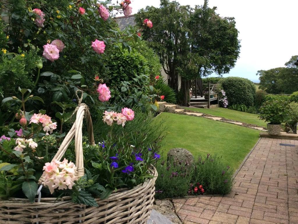 Frogwell * Strete