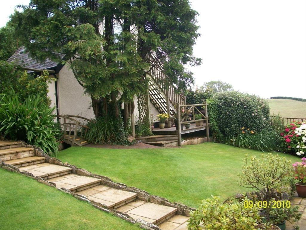 Frogwell *