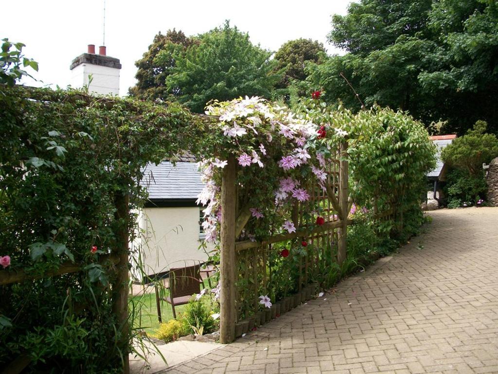 Frogwell * Strete